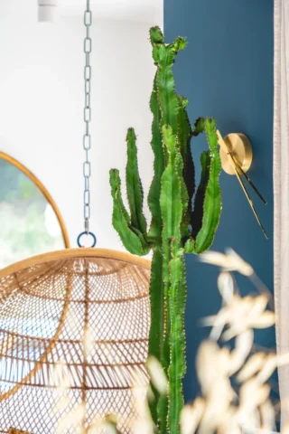 espace-interieur-pertuos